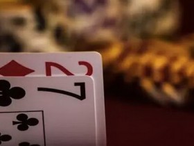 【蜗牛棋牌】德州扑克理解对手偏见