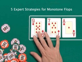 蜗牛扑克：单色翻牌面的五个专家级策略
