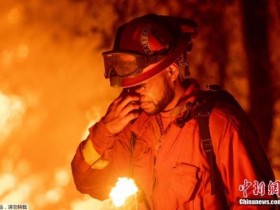 【蜗牛扑克】美加州山火肆虐5万人撤离 树木被火龙卷连根拔起