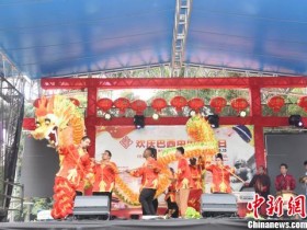 【蜗牛扑克】巴西华人华侨举办庆祝“中国移民日”及捐赠活动
