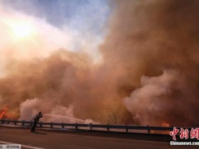 【蜗牛棋牌】美加州山火致逾40死 特朗普宣布实行重大灾害制度