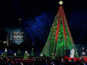 【蜗牛棋牌】白宫圣诞树顶头星星被破坏 因政府关门无法修复