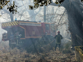 【蜗牛棋牌】法国科西嘉岛发生严重火灾 烧毁1500公顷森林(图)
