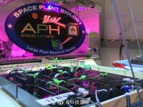 【蜗牛棋牌】NASA尝试在国际空间站种辣椒 为登陆火星做准备