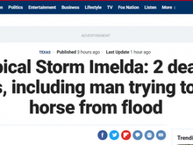 【蜗牛棋牌】爱马心切 美国一男子在暴雨中为救马而触电身亡