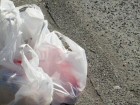【蜗牛棋牌】美国纽约州正式执行“塑料袋禁令”