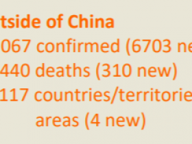【蜗牛棋牌】世卫组织：中国境外新冠肺炎确诊共计44067例