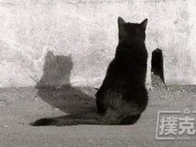 【蜗牛棋牌】一个合格德扑玩家的自我修养