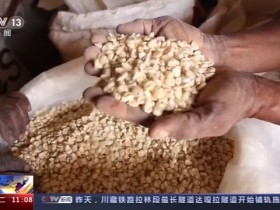 【蜗牛棋牌】坦桑尼亚村民：中国技术让我们过上了好日子
