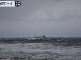 【蜗牛棋牌】土耳其黑海海域发生沉船事故 3人遇难3人失踪