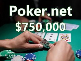 【蜗牛棋牌】史上最大“.net”域名交易，“poker.net”以75万美元售出