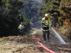 【蜗牛棋牌】新西兰奥克兰附近发生丛林火灾