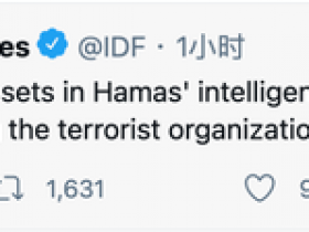 【蜗牛棋牌】刚刚，以色列国防军发推：重创哈马斯情报总部