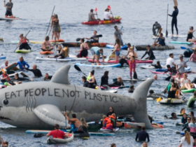 【蜗牛棋牌】G7峰会第二天 上千人海中游泳、乘皮划艇抗议