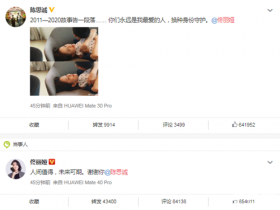 【蜗牛棋牌】陈思诚佟丽娅离婚 陈思诚佟丽娅为什么离婚