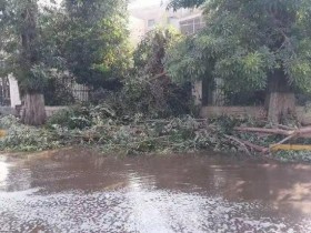 【蜗牛棋牌】埃及阿斯旺极端天气致3人死亡 450人被蝎子蜇伤