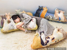 【蜗牛棋牌】『圍繞貓抱枕』讓你體驗被貓咪簇擁的感覺