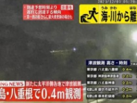 【蜗牛棋牌】日本多地接连观测到海啸 东京都八丈岛海啸最高