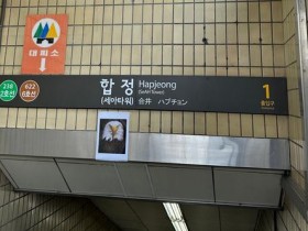 【蜗牛棋牌】韩媒：鸽子不时闯入地铁站，首尔贴老鹰照片“恐吓”