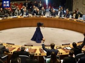 【蜗牛棋牌】联合国安理会加沙决议再遭美国一票否决