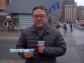 【蜗牛棋牌】荷兰暂停对安世半导体的行政令出于何种考虑?