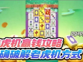 大发老虎游戏(老虎机)的回报率是什么:尽享高回报的游戏体验