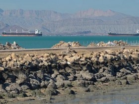 【蜗牛棋牌】伊美停火协议,好一场“拼多多砍一刀”