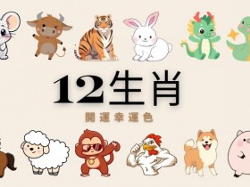 幸运十二生肖老虎机|文化与娱乐的完美融合