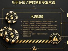 什么是“洗码”?新手必须了解的博彩专业术语