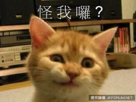【蜗牛棋牌】超療癒喵星人演繹人類生活 主人公快被萌翻啦