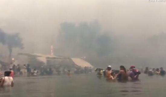 希腊山火已致91遇难 民众为活命被迫跳入海中(图)