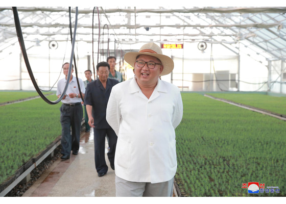 1532394604798080.jpg 【蜗牛扑克】金正恩视察江原道苗圃 要求把山野变成黄金山(图)