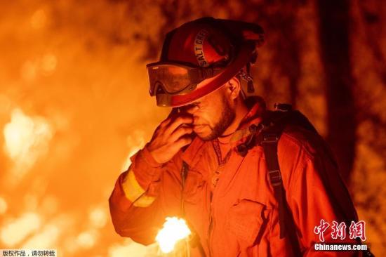 美加州山火肆虐5万人撤离 树木被火龙卷连根拔起
