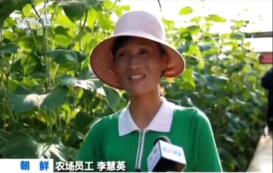 朝鲜的农业改革进展如何？记者实地探访