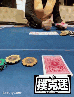 【蜗牛棋牌】2018 TPC 老虎杯第四季,E神打票之旅!