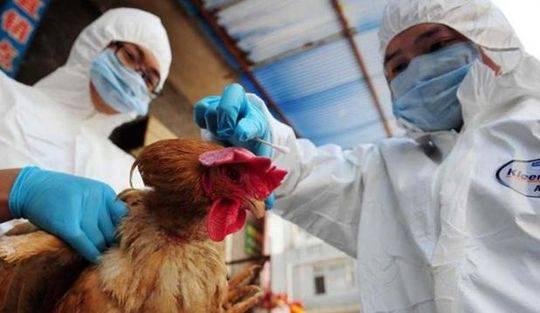 日本研究发现：H7N9病毒或通过飞沫在空气中传播