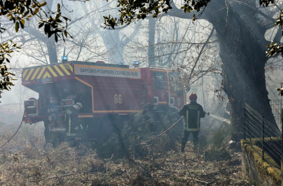 法国科西嘉岛发生严重火灾 烧毁1500公顷森林(图)