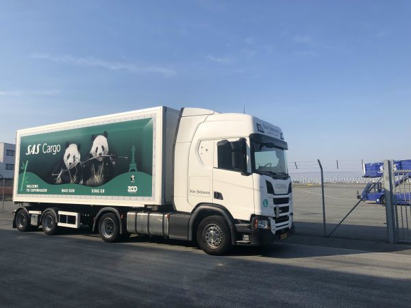 【蜗牛棋牌】中国两只大熊猫抵达丹麦 女王将举办欢迎仪式