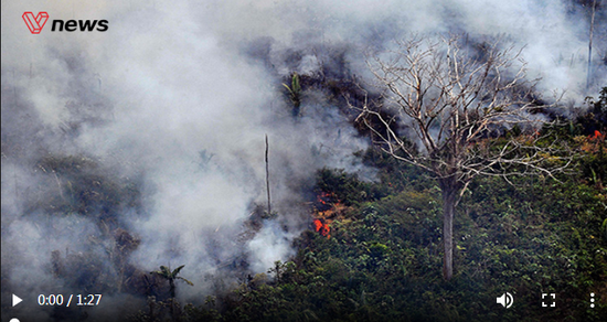 如果亚马孙雨林被大火烧光 多地四季交替或将消失