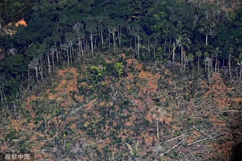 亚马孙雨林大火引全球怒火 天灾还是人祸？