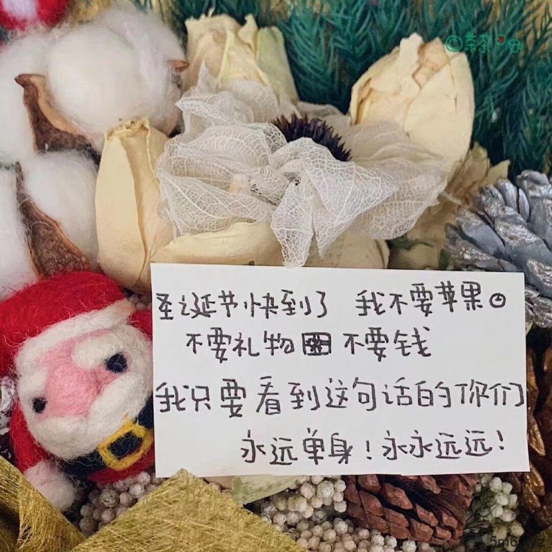 平安夜极品车！推荐几个FC2上比较给力的白虎资源~