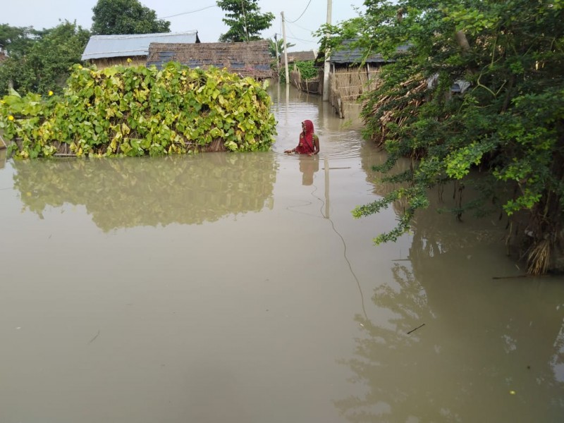 印度比哈尔邦洪灾加剧 100万人受灾