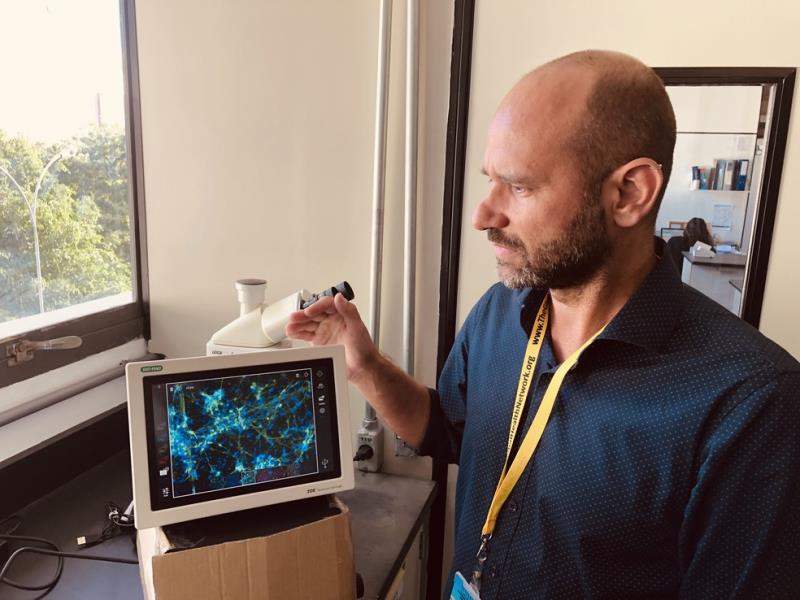 【蜗牛棋牌】寨卡病毒研究取得突破性进展 有望治愈小头症