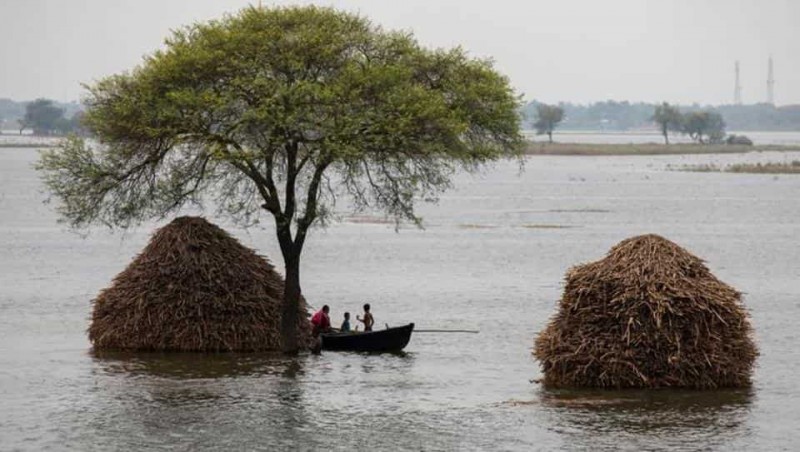 印度比哈尔邦洪灾持续 已致19死666万人受灾