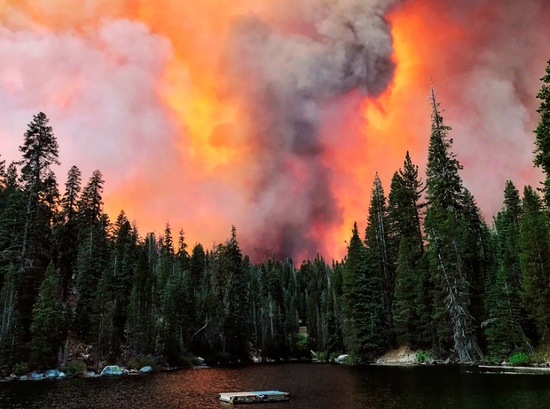 美加州山火规模破纪录 当地官员:山火季节还没到