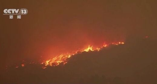 灭火效果甚微 美国洛杉矶“山猫山火”难控