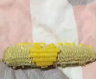 【蜗牛棋牌】涨知识了！洋葱臀了解一下？