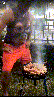 【蜗牛棋牌】涨知识了！洋葱臀了解一下？