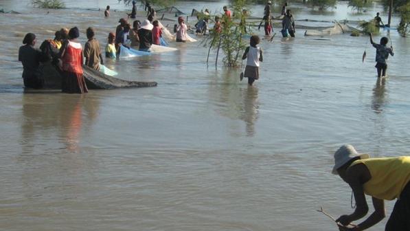 纳米比亚部分地区疟疾高发 全国40人因病死亡