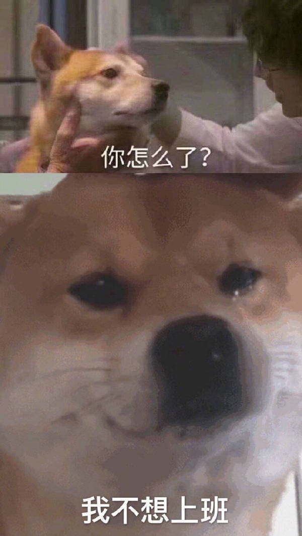 导演说这是妹妹的第一次,居然真的还留血了!